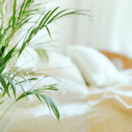 Hotel Rdrh Srl Montesilvano Marina